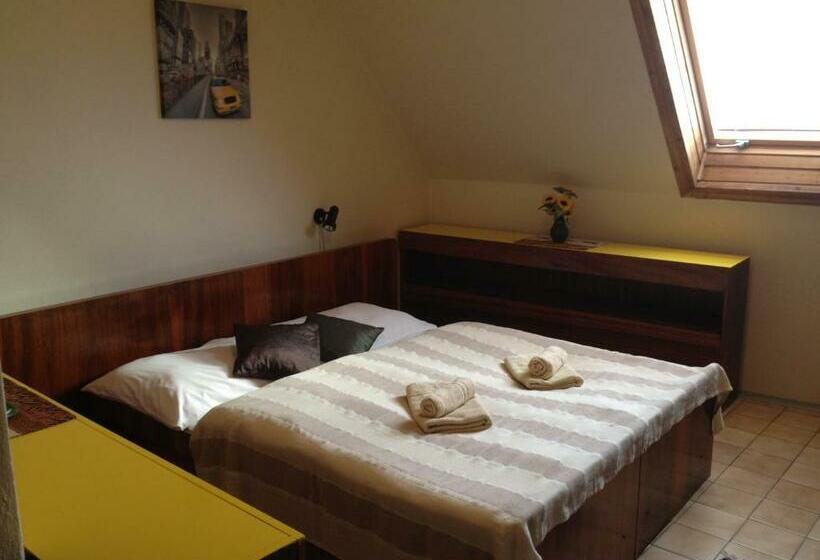 اتاق استاندارد, Asso Penzion