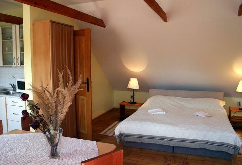 Студия Стандарт, Penzion Kremenisko