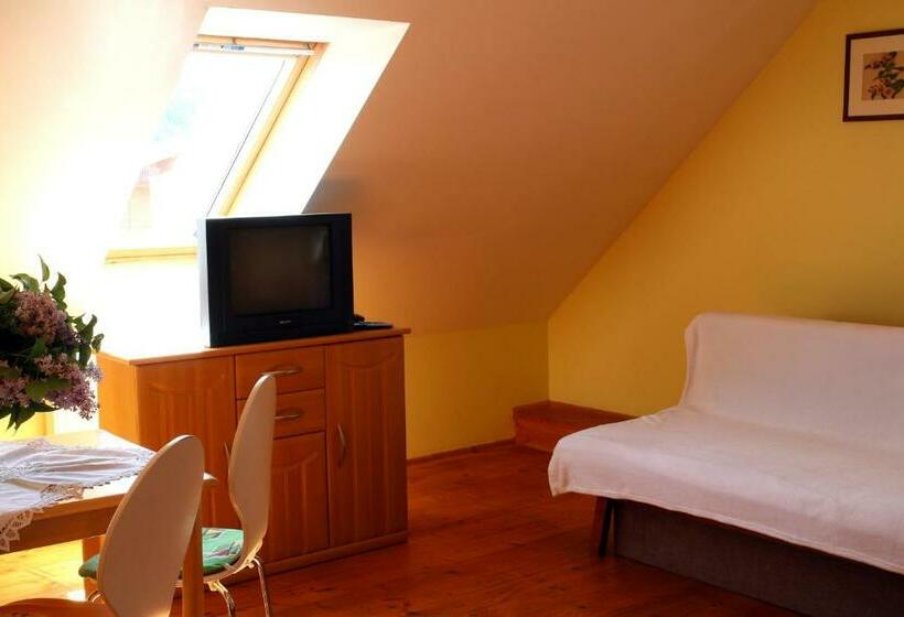 Студия Стандарт, Penzion Kremenisko