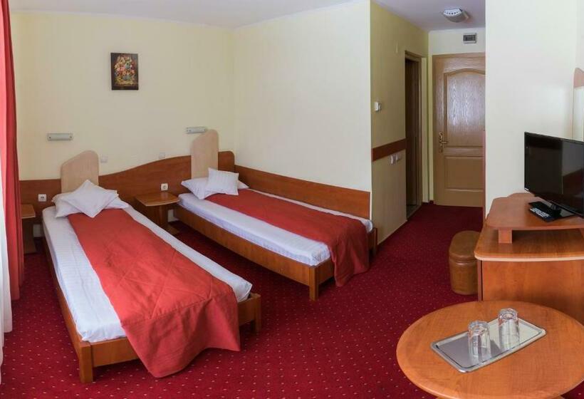 스탠다드 룸, Pensiunea Vanatorul