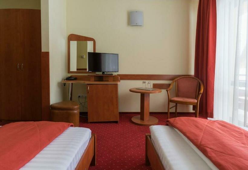 스탠다드 룸, Pensiunea Vanatorul