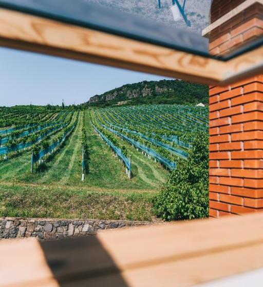 Номер Стандарт, óbester Panzió