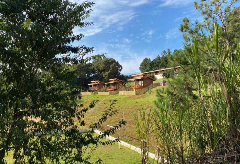 Шале Superior 1 Спальня, Pousada Recanto Primavera