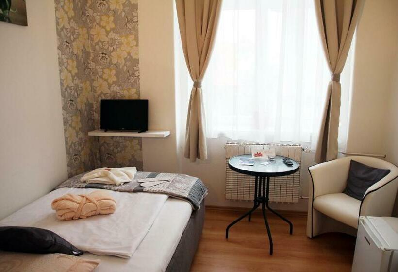 Номер Стандарт Индивидуальный, Penzion Alfa Poděbrady