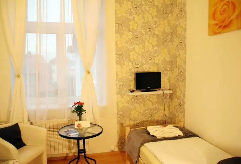 Standard Yhden Hengen Huone, Penzion Alfa Poděbrady