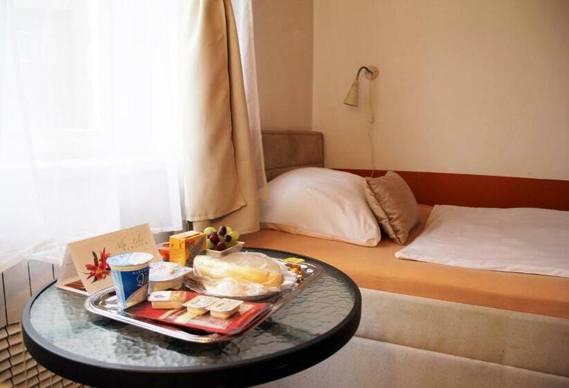 Номер Стандарт Индивидуальный, Penzion Alfa Poděbrady