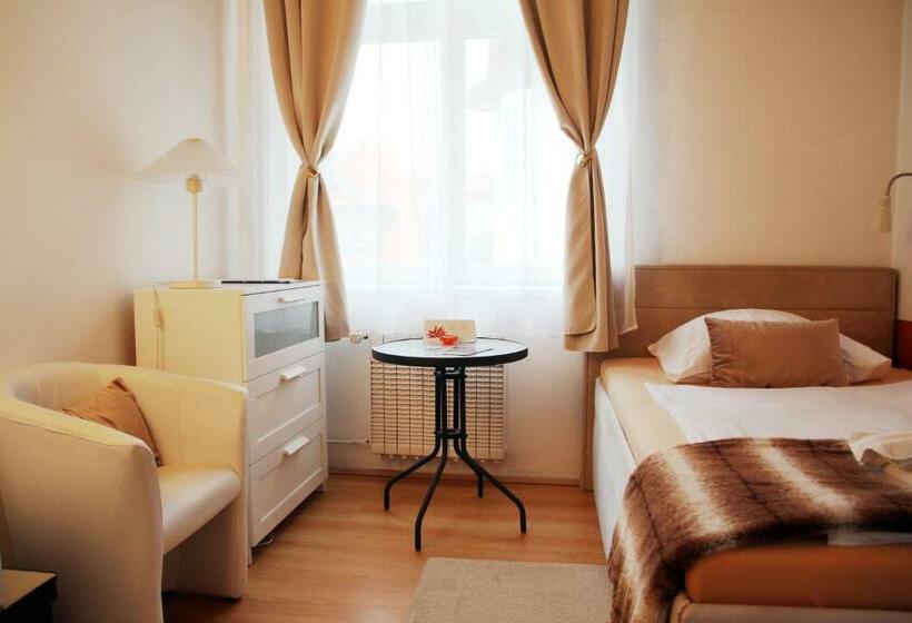标准单人间, Penzion Alfa Poděbrady