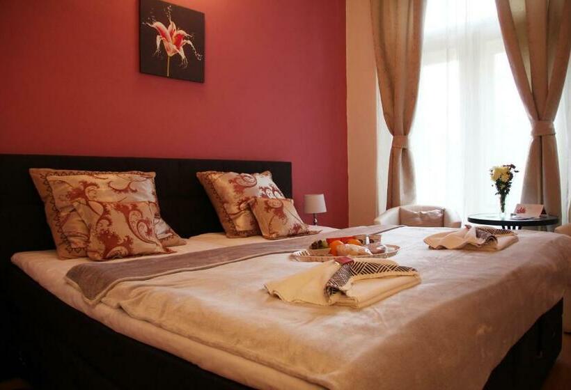 Номер Стандарт, Penzion Alfa Poděbrady