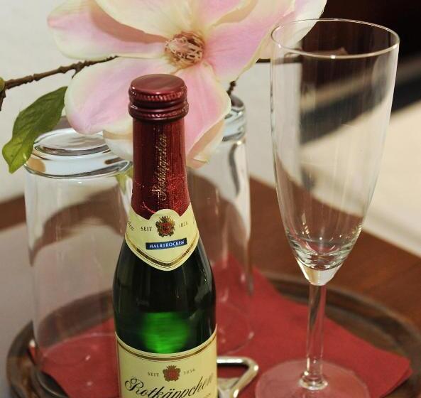 חדר סטנדרט יחיד, Pension Am Theater