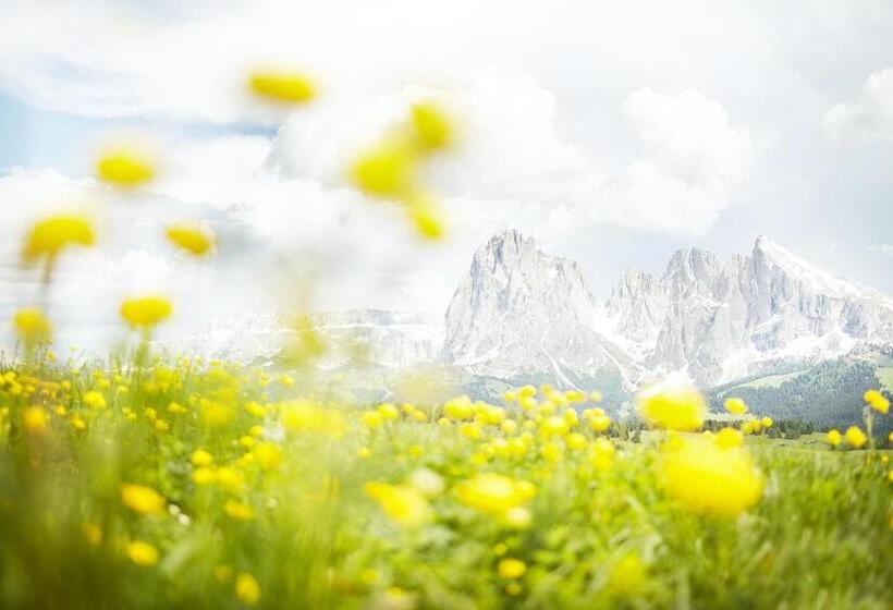 标准工作室, Residence Rumanon