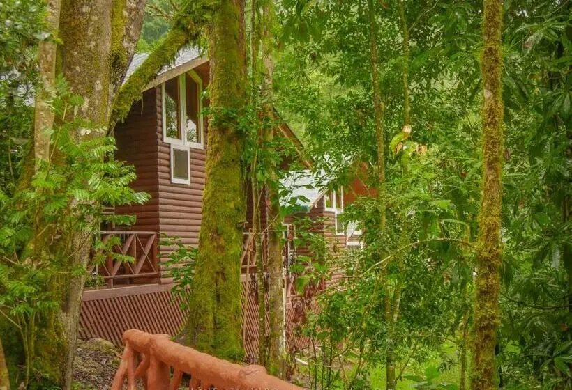 スタンダードルーム, Sueños Del Bosque Lodge