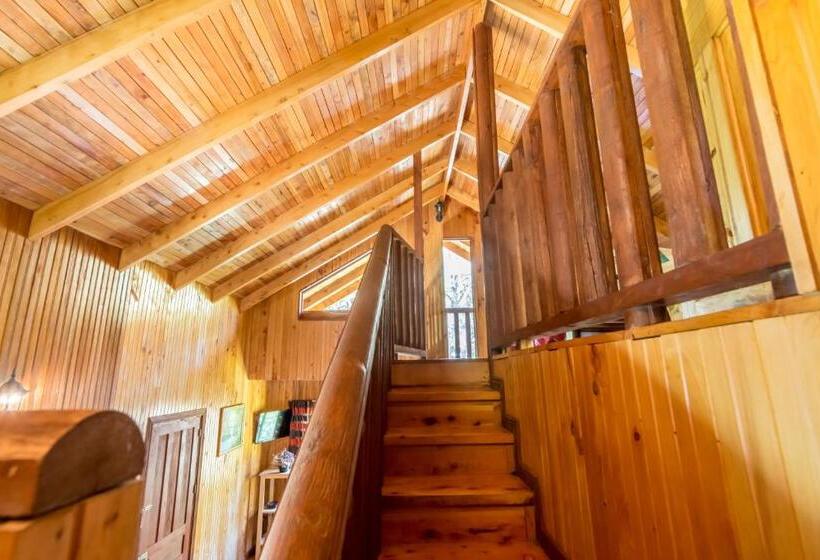 샬레, Sueños Del Bosque Lodge