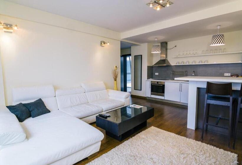 带1个卧室的豪华公寓, Luxury Downtown Apartments