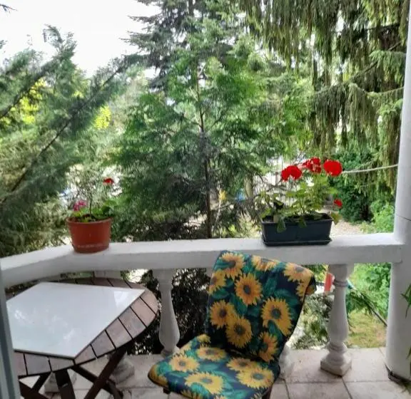 اتاق استاندارد با بالکن, Fehér Hintó