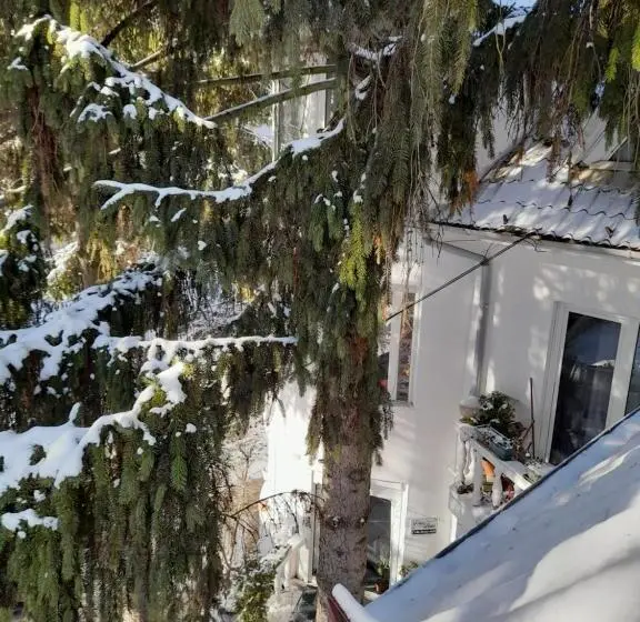 اتاق لوکس با بالکن, Fehér Hintó