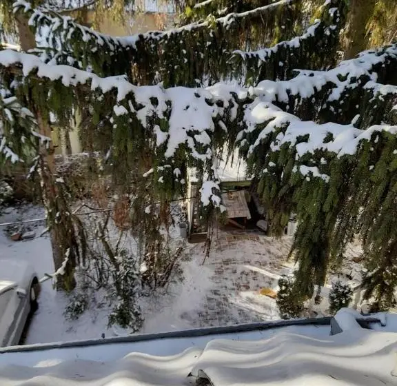 اتاق لوکس با بالکن, Fehér Hintó