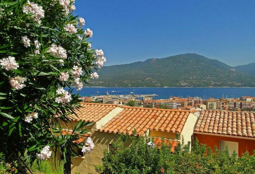 Студия Стандарт, Le Maquis Bella Vista