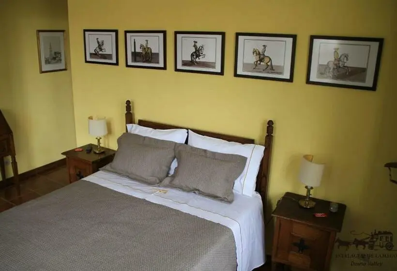 スタンダードルーム, Camping Lamego Douro Valley