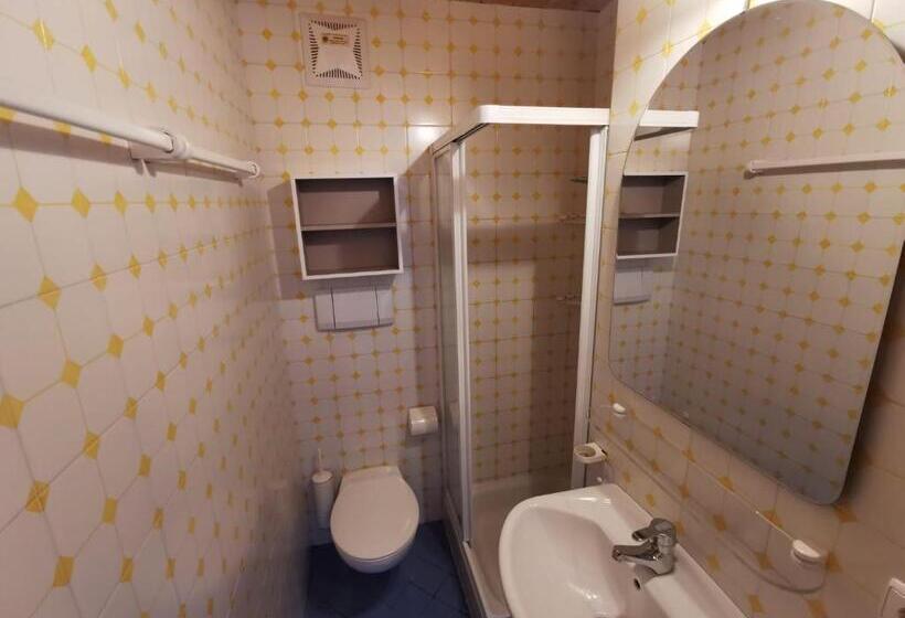 شقة غرفة نوم واحدة مزودة بشُرفة, Garni Tschutscherhof