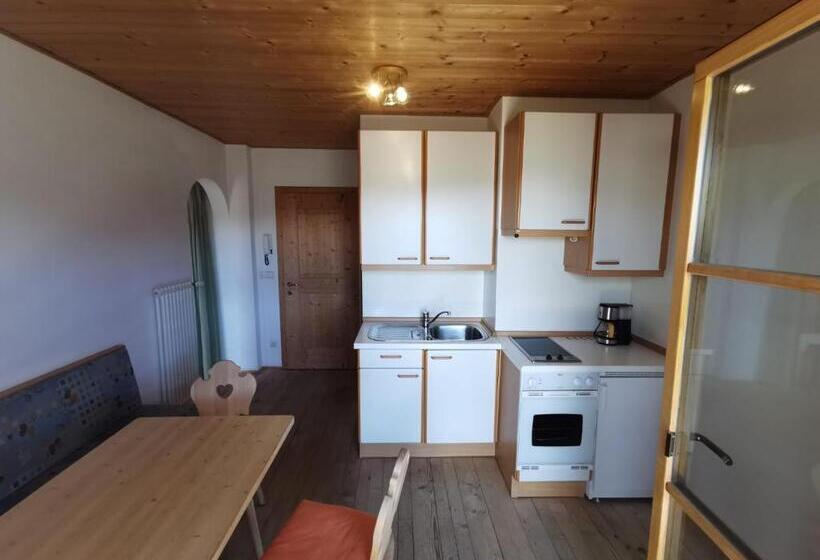 带1个卧室的带阳台的公寓, Garni Tschutscherhof