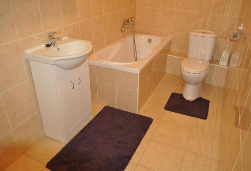 带1个卧室的公寓, Penzion Svatý Jan