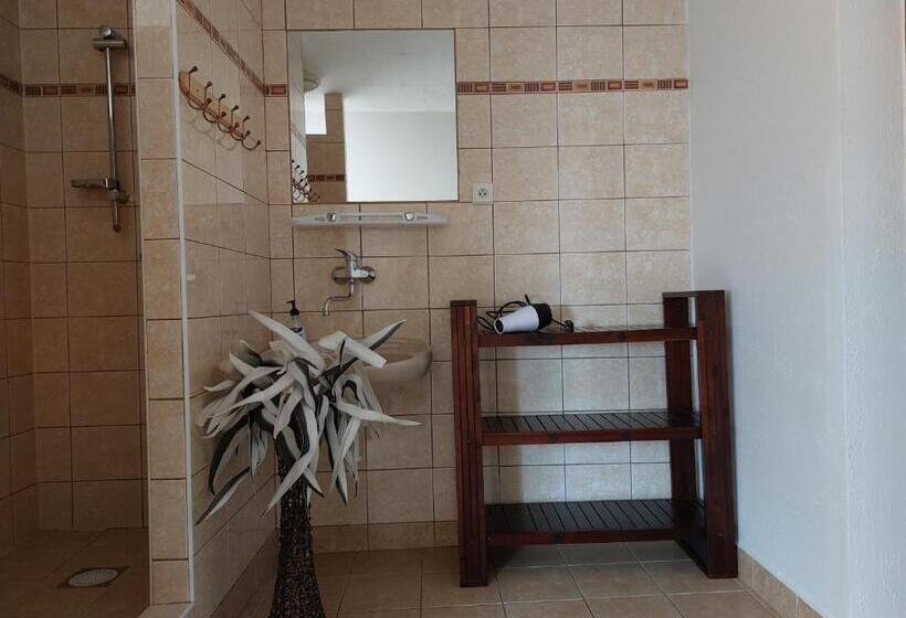 四人标准间, Penzion U šelongů