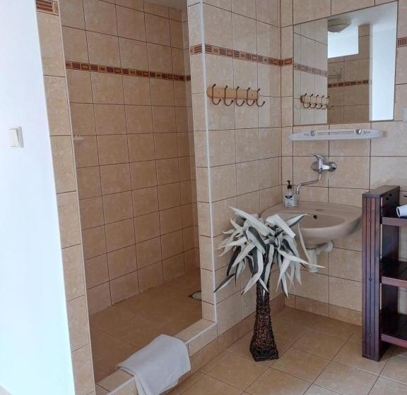 四人标准间, Penzion U šelongů