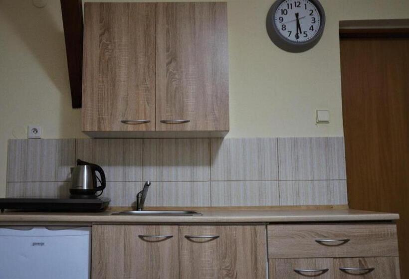 四人标准间, Penzion U šelongů