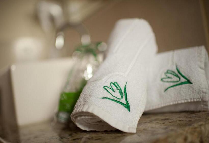 Chalet 1 Soveværelse, Pousada Bucaneve