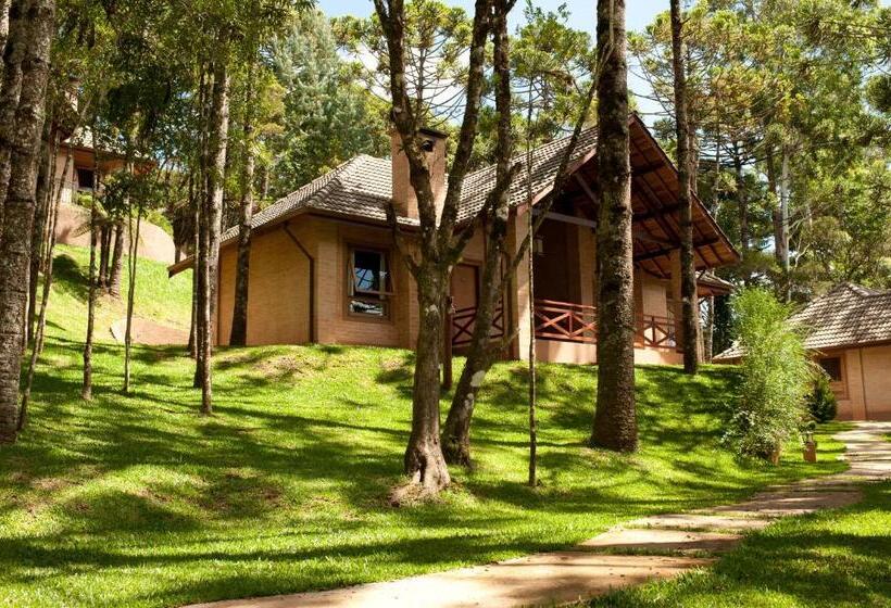 Chalet 1 Soveværelse, Pousada Bucaneve