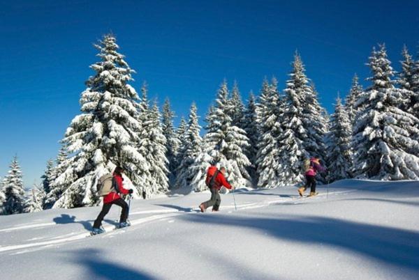 침실 1개 아파트, Appartments Neuhof