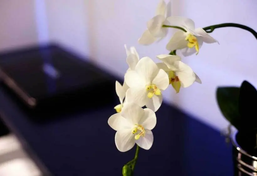 اتاق استاندارد یک نفره, Hostal Averroes