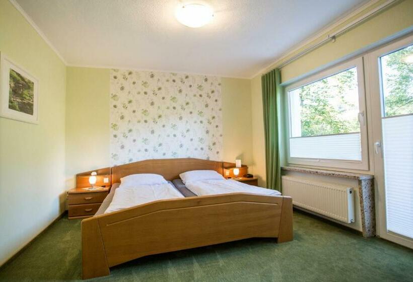 Номер Стандарт с Террасой, Pension Haus Am Walde