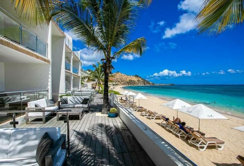 スタンダードスタジオ, Bleu Emeraude