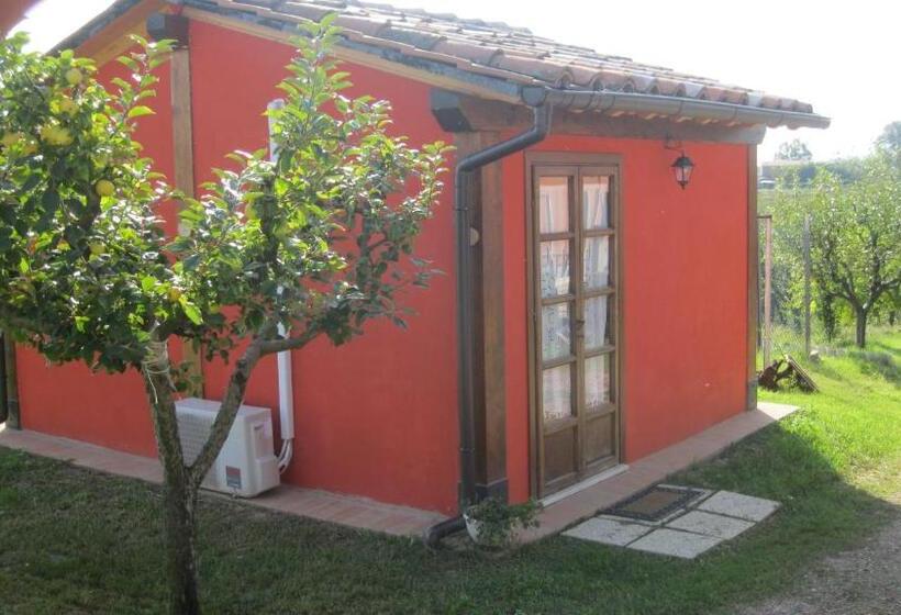 标准间, Agriturismo Consalvi Valentina