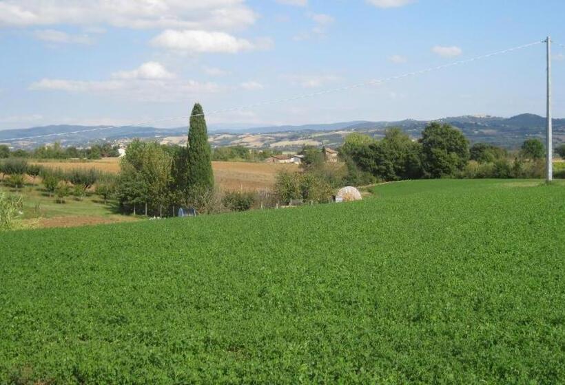 家庭工作室, Agriturismo Consalvi Valentina