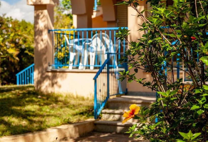 דירת חדר בקומת קרקע, Mare Azzurro