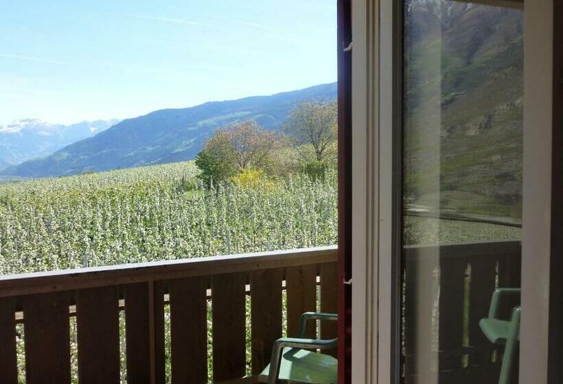 标准间带阳台, Gletscherblick