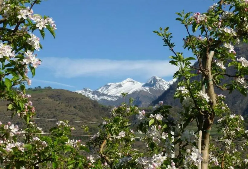 Basic-huone, Gletscherblick