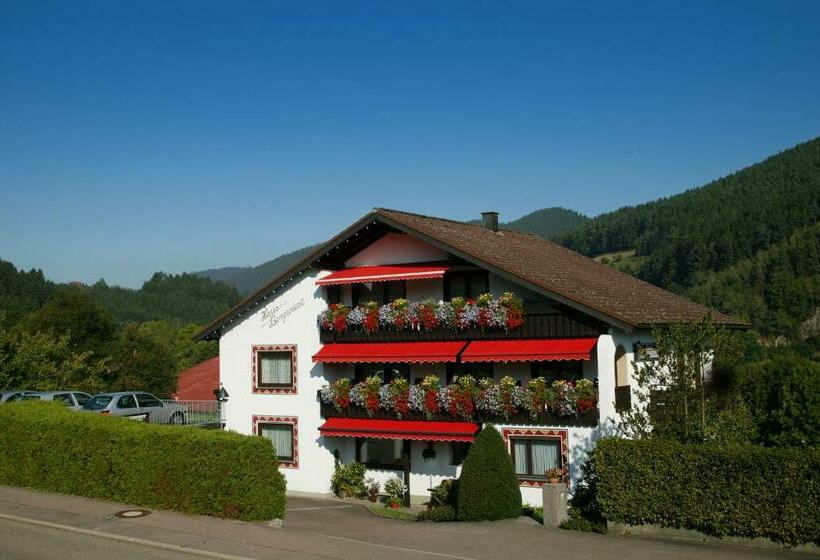 Номер Стандарт, Haus Bergwiese