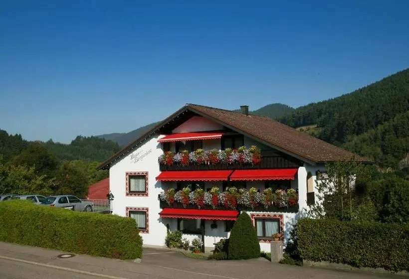 スタンダードシングルルーム, Haus Bergwiese