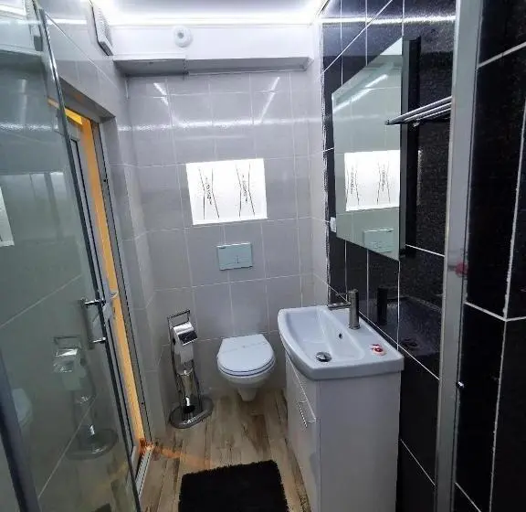 Deluxe-huone, Poiana Bucovat