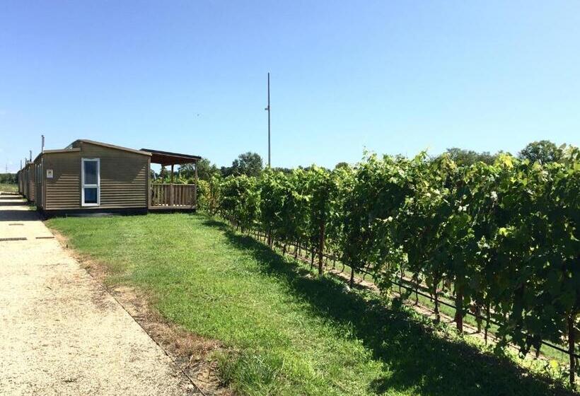 Бунгало Стандарт, Seiterre Agriturismo Tenuta San Leone