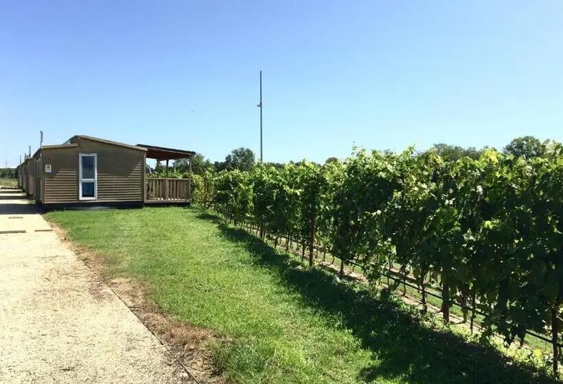 بانگلوی استاندارد, Seiterre Agriturismo Tenuta San Leone