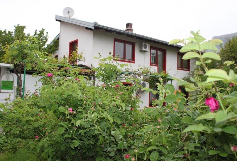 اتاق استاندارد با سرویس بهداشتی مشترک, Guest House Goa Mostar