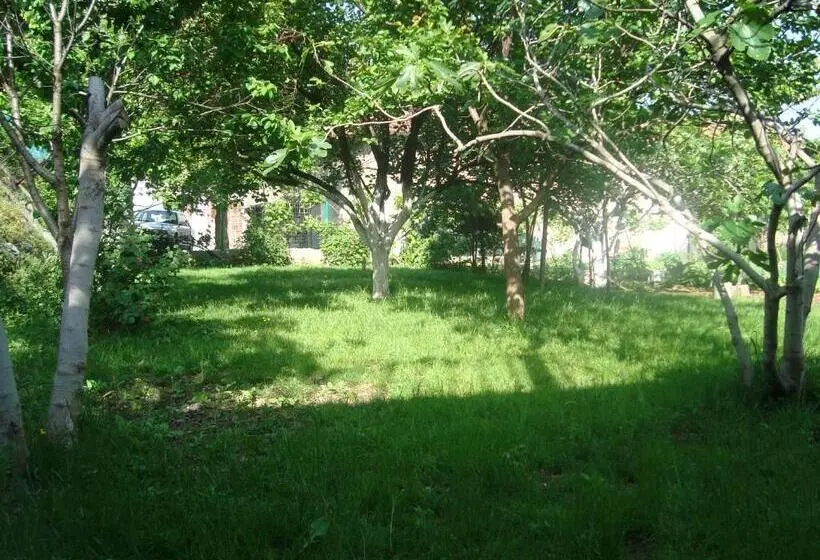 استودیوی استاندارد, Guest House Goa Mostar
