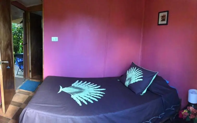 Standard Yhden Hengen Huone Jaettu Kylpyhuone, Hostal Vaihere