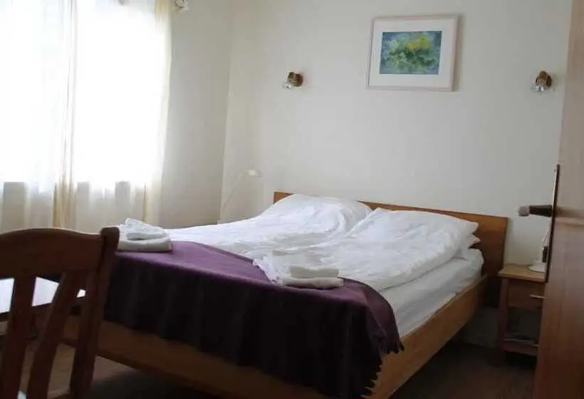 اتاق استاندارد با سرویس بهداشتی مشترک, Nes Guesthouse