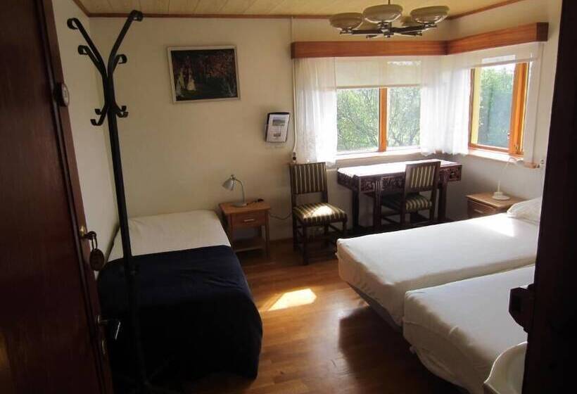 اتاق خانوادگی با سرویس بهداشتی مشترک, Nes Guesthouse