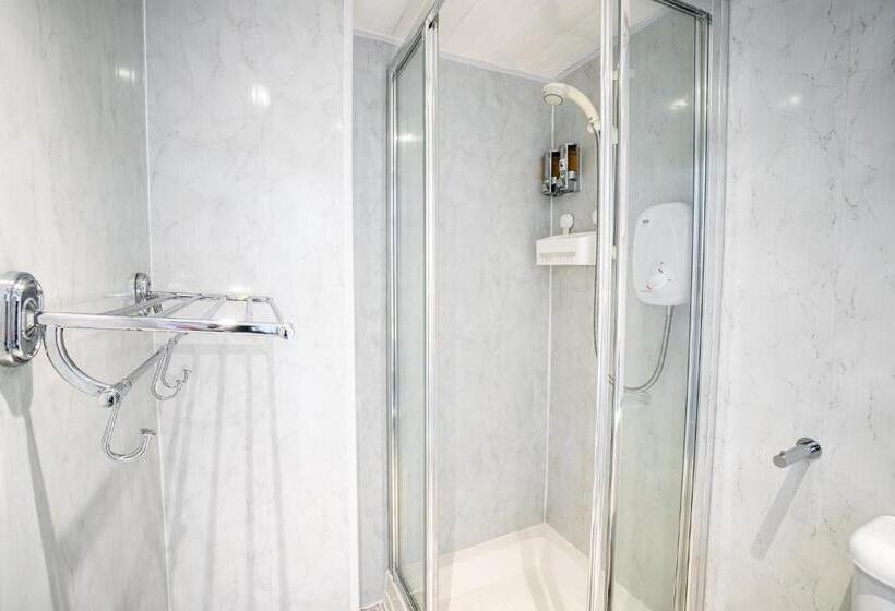 Номер Superior, Trefoil Guest House
